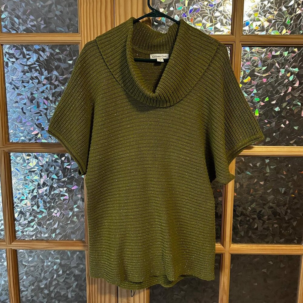 Coldwater Creek Oversized Green Sparkle Sweater Sz XL Cozy Batwing Lagenlook